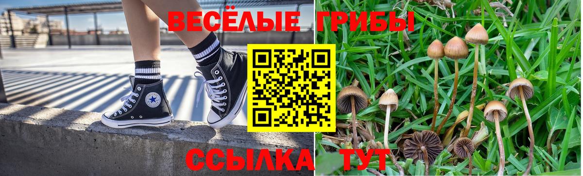 Псилоцибиновые грибы мицелий Тара